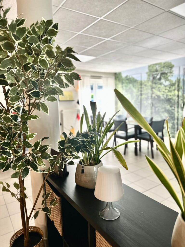 Interieur in Eyckenborgh, Gooik