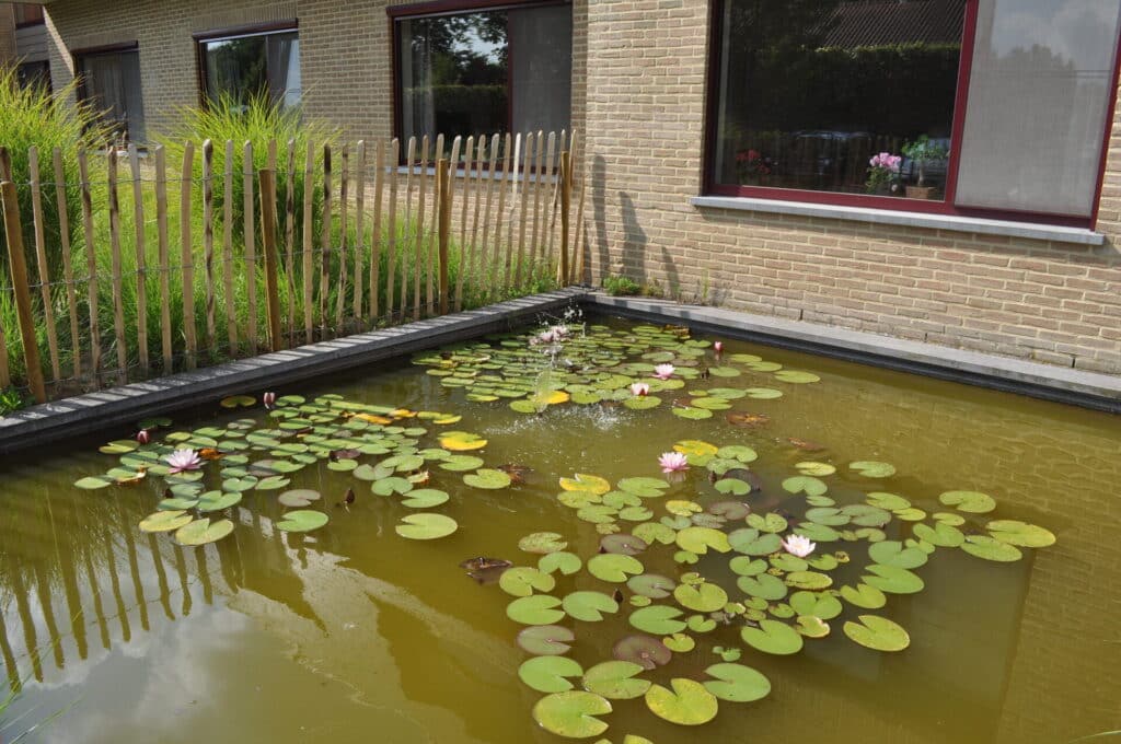 Exterieur in De Wyngaert, Rotselaar