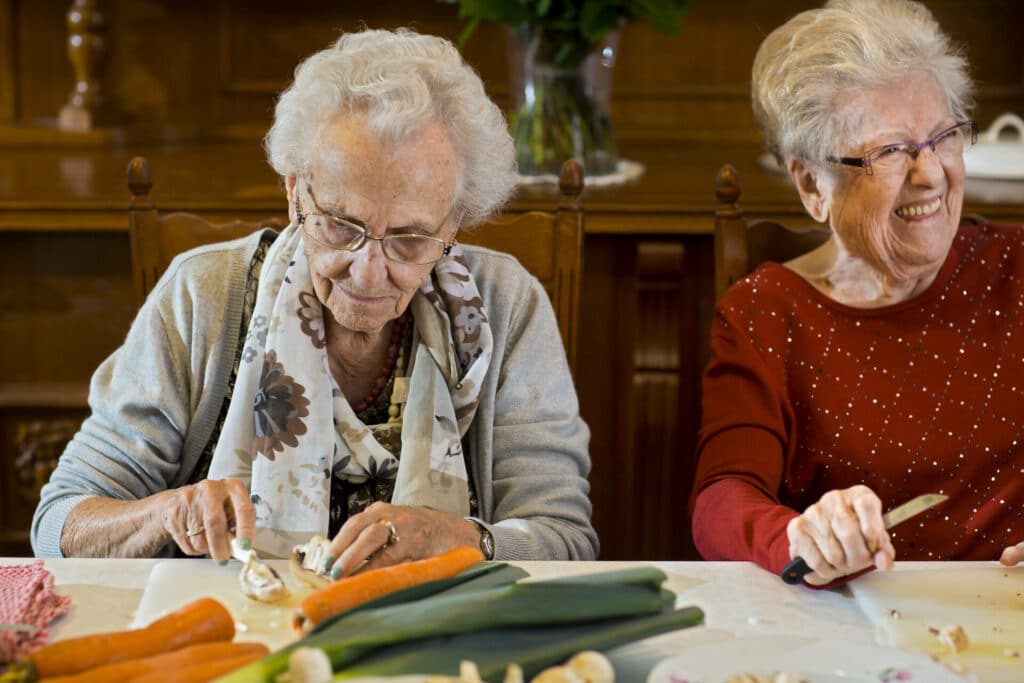 Dagelijks leven in Larenshof, Laarne