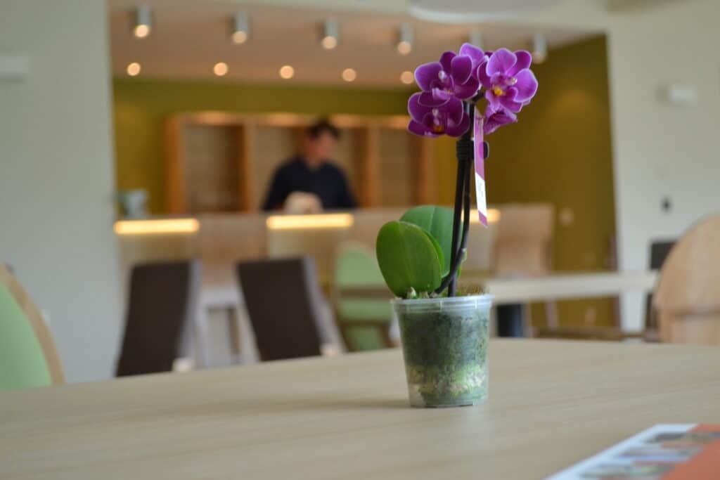 Restaurant in Larenshof, Laarne