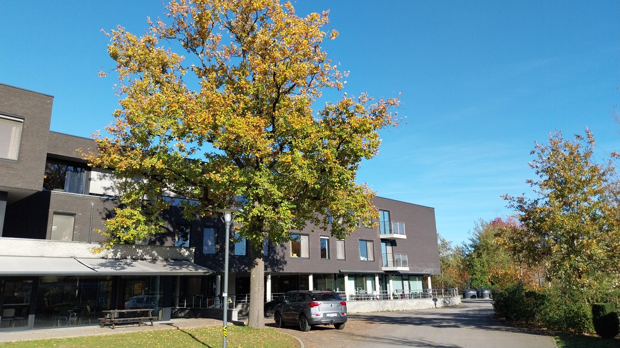 Exterieur in De Lelie, Wezemaal