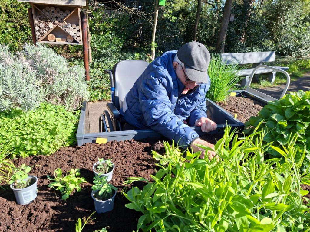 Dagelijks leven in Hemelrijck, Mol