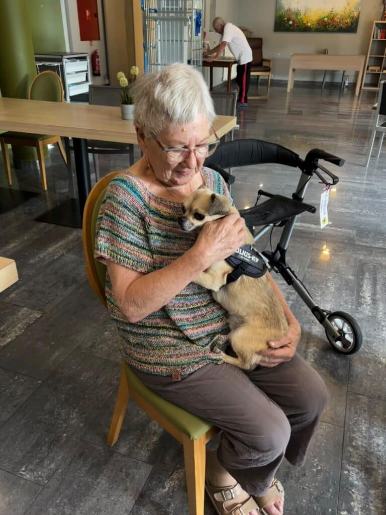 Dagelijks leven in Laarsveld, Geel