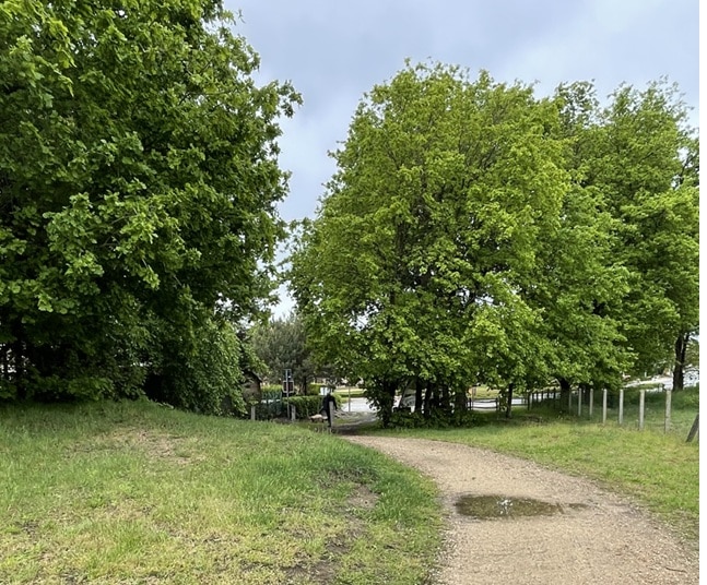 Exterieur in Nethehof, Balen