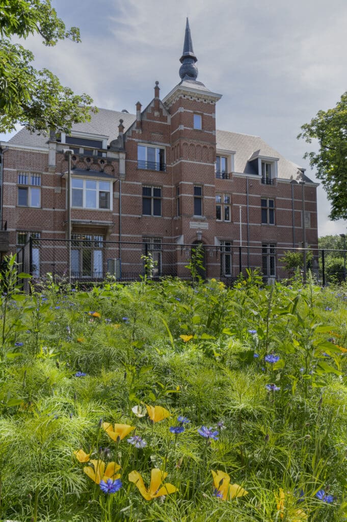 Exterieur in Plantijn, Kapellen