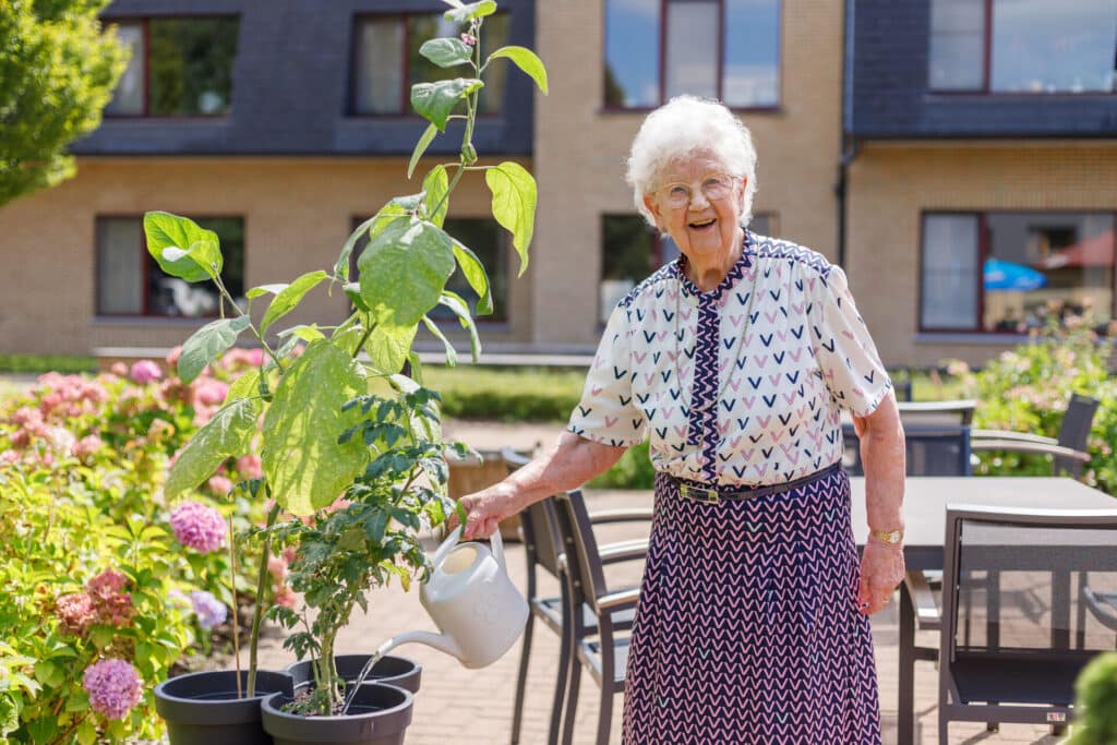 Dagelijks leven in De Wyngaert, Rotselaar