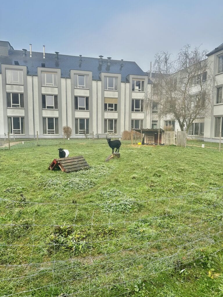 Extérieur in Pont d'Amour, Dinant