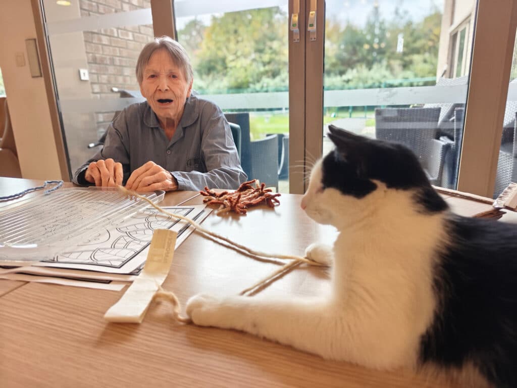 Dagelijks leven in Ter Venne, Sint-Martens-Latem