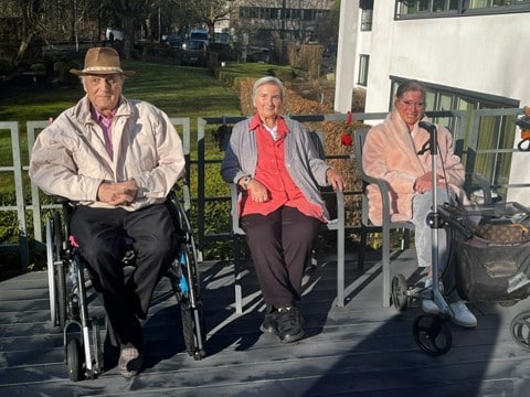 Dagelijks leven in Groenveld, Wilrijk