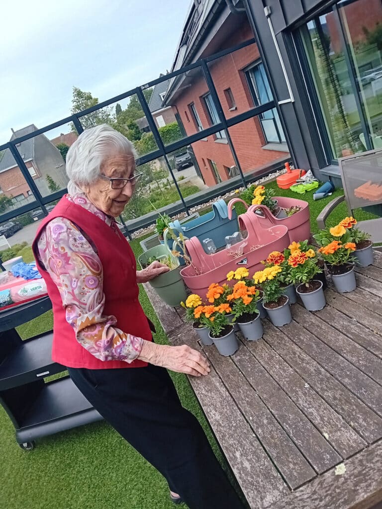 Dagelijks leven in Lakendal, Aalst