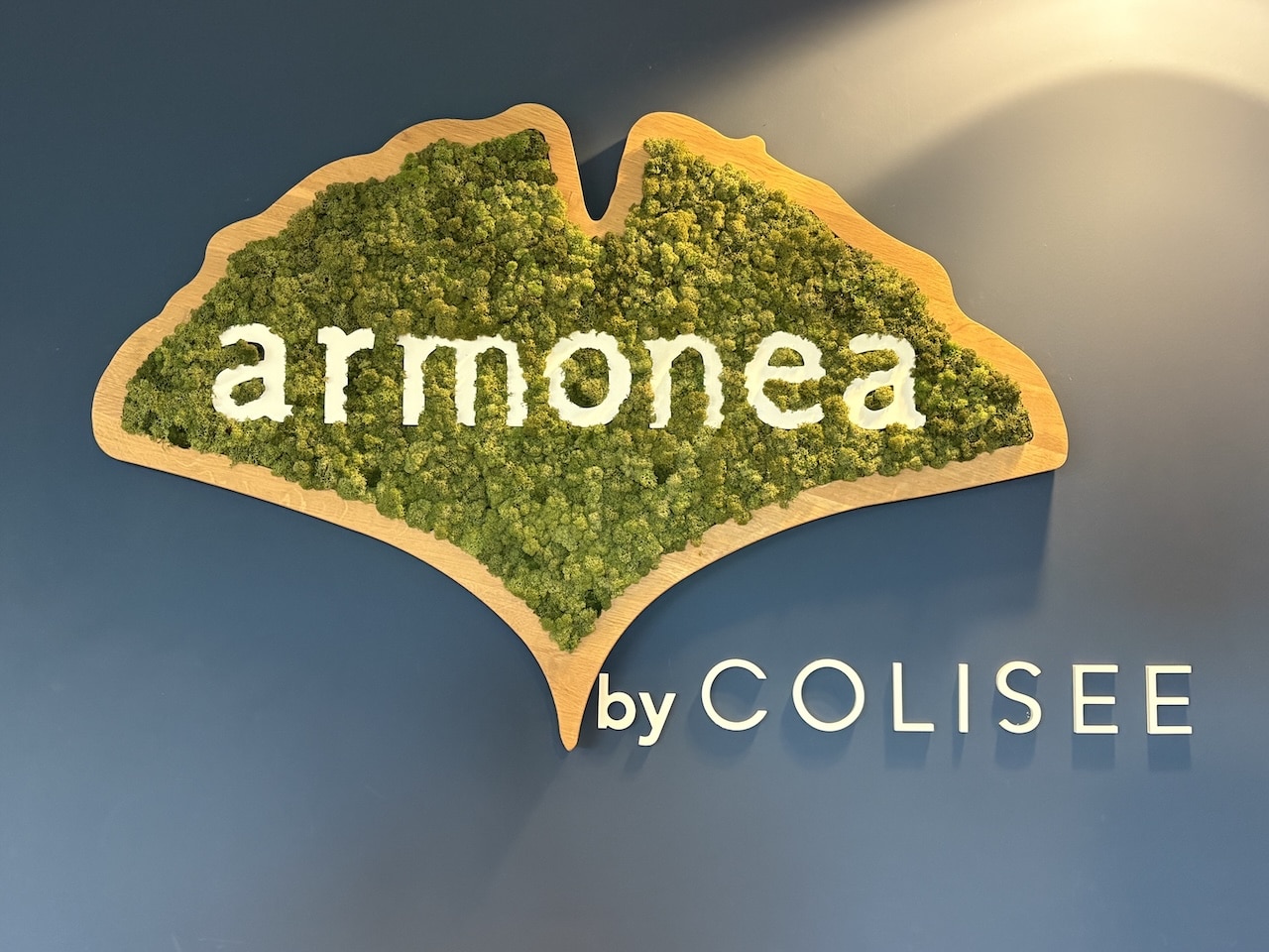 Dagelijks leven in Armonea HQ, Mechelen